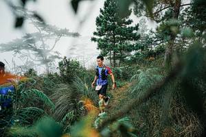 BIB: 
                            <button type="button" onclick="openModal(25258241)" class="btn btn-primary btn-sm float-right btn-popup" data-toggle="modal" data-target=".modal-high-quality">
                        <i class="fas fa-shopping-cart"></i> Add to Cart
                    </button>
                                            <button type="button" onclick="isThisMe(25258241, true)" class="btn btn-success btn-sm float-right btn-popup btn-isme hidden" data-toggle="tooltip" data-placement="bottom" title="นี่คือรูปของคุณใช่ไหม คลิกที่นี่เพื่อเอาเข้าอัลบั้ม">
                        <i class="fas fa-plus"></i> Add to album
                    </button>
                    <button type="button" onclick="isThisMe(25258241, false)" class="btn btn-warning btn-sm float-right btn-popup btn-isnotme hidden">
                        <i class="fas fa-ban"></i> Remove from album
                    </button>